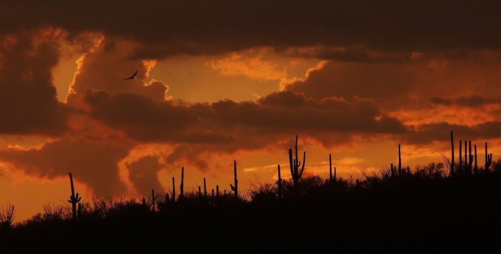 Beautiful Arizona sunsets